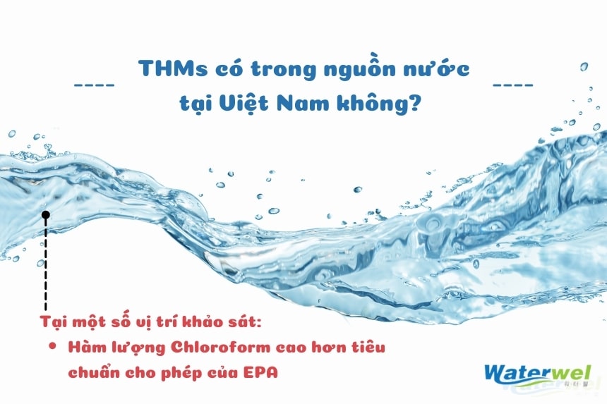 Khảo sát nồng độ THMs trong nước sinh hoạt